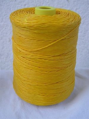 Vokset h�rtr�d. Majsgul 5 meter.